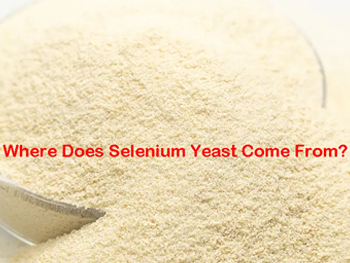 Where Does Selenium Yeast Come From?
